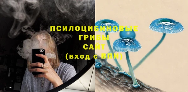 дмт Кинешма