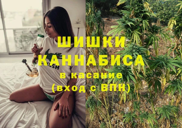 дмт Кинешма