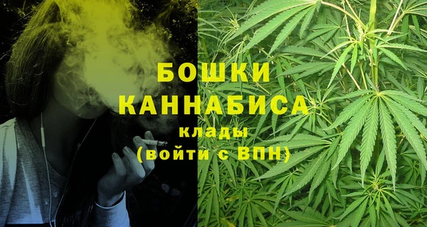 дмт Кинешма