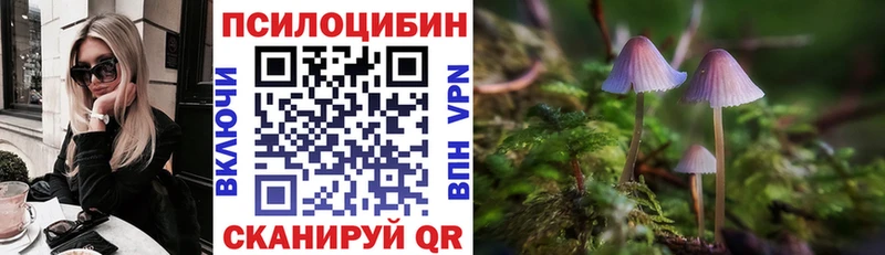 OMG зеркало  Ленинск  Псилоцибиновые грибы ЛСД 