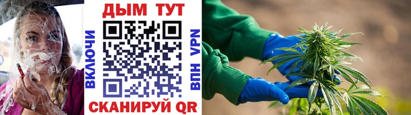 Конопля THC 21%  Ленинск 